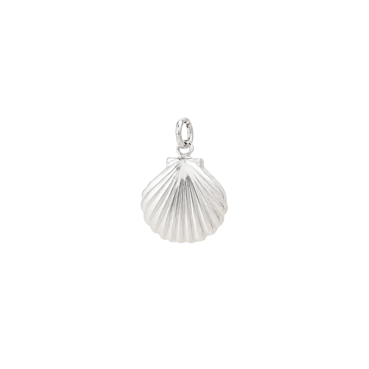 Bedel - Venus Schelp
