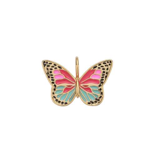 Bedel - colorful butterfly