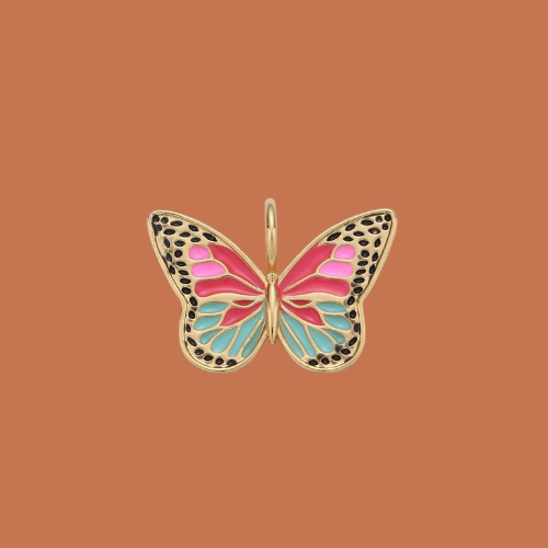 Bedel - colorful butterfly