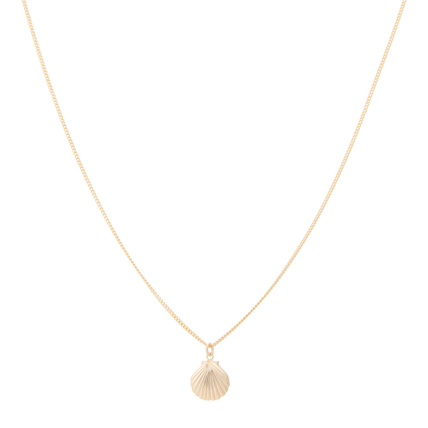 Ketting - Venus Schelp